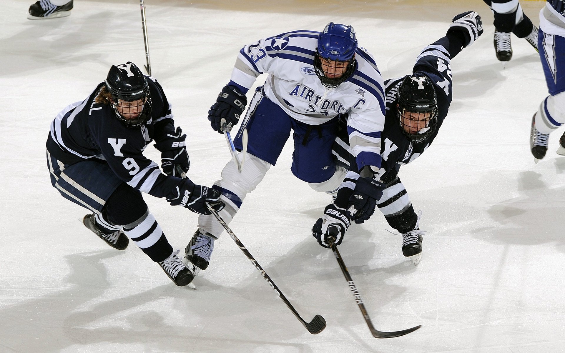 英雄联盟 新赛季新人表现引发关注，英雄联盟新赛季玩法